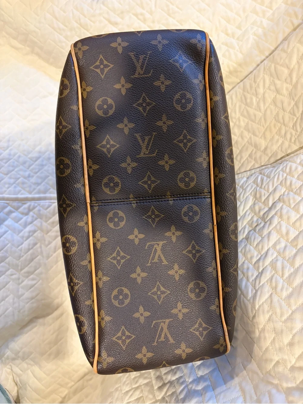Louis Vuitton Monogram PM Delightful Shoulder Bag